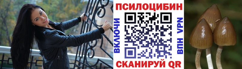 как найти   Куровское  Галлюциногенные грибы мухоморы 