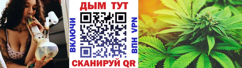 Конопля марихуана Куровское